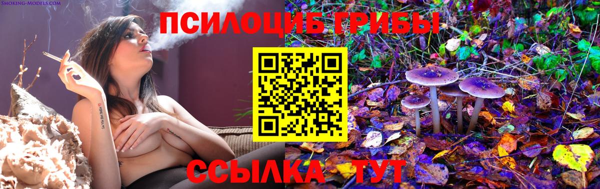 Сорочинск  Галлюциногенные грибы Psilocybine cubensis  Псилоцибиновые грибы MAGIC MUSHROOMS  Вход с VPN 